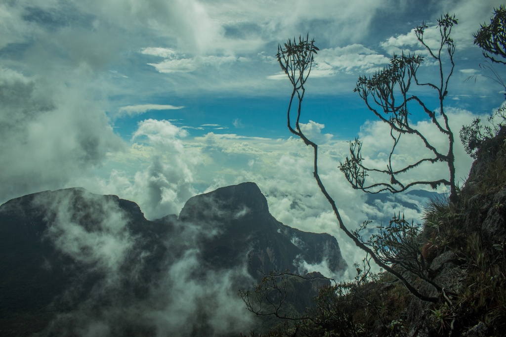 Pico Da Neblina Ponto Mais Alto Do Brasil é Destino A Ser Desbravado Qual Viagem 3897