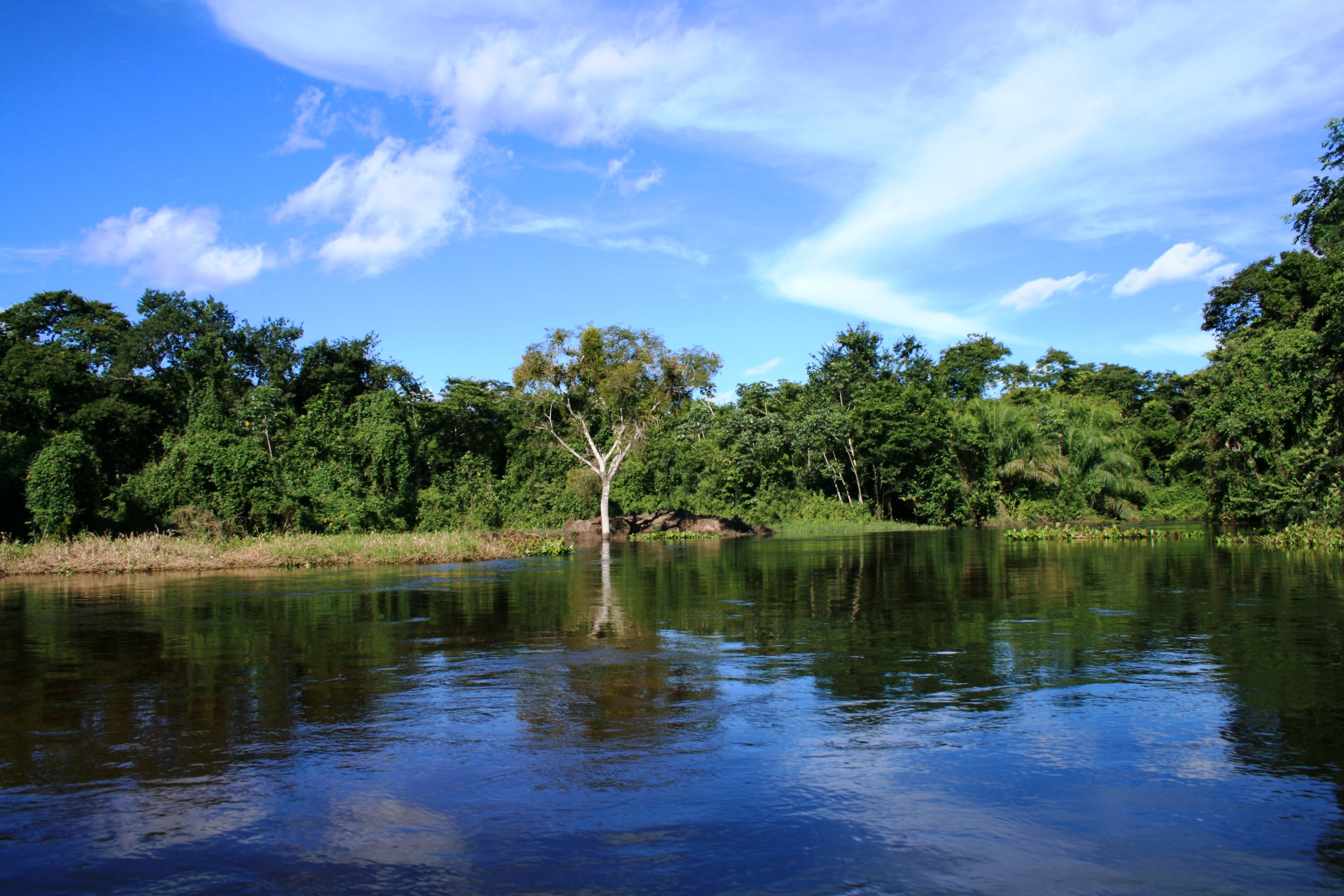 Крупнейший национальный парк Пантанал
