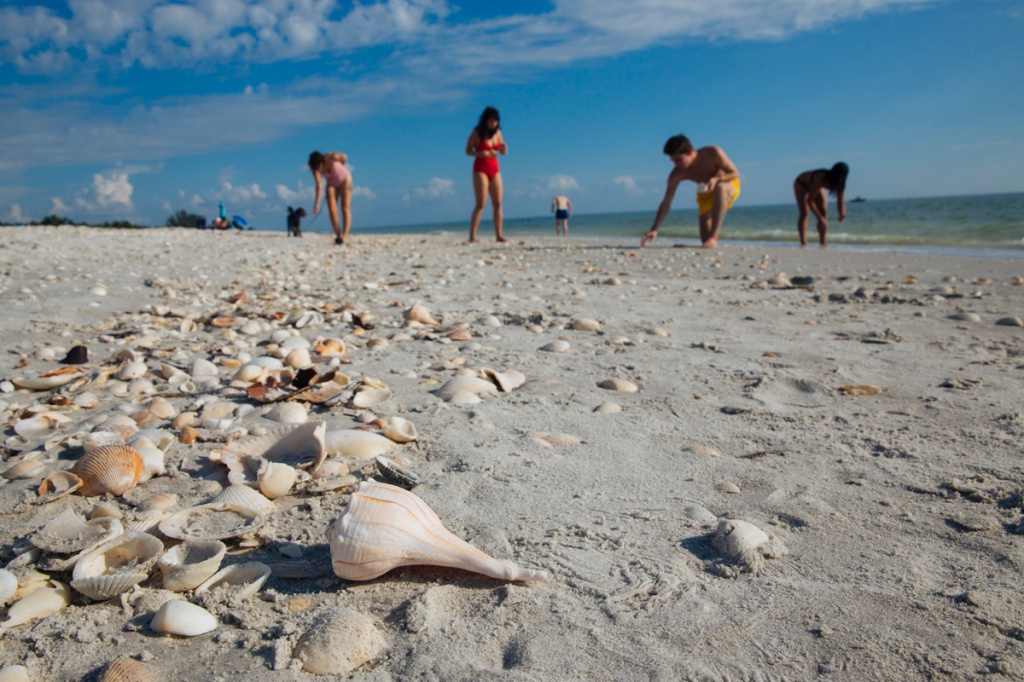 o que fazer Sanibel e Captiva